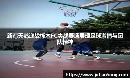 新泻天鹅迎战栎木FC决战赛场展现足球激情与团队精神