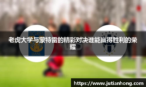 九游娱乐jiuyou